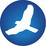 HawkSoft logo